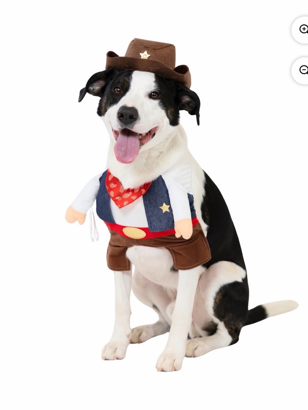 NWT Vibrant Life Cowboy Walkie Pet Costume Medium Halloween Dog Western Hat